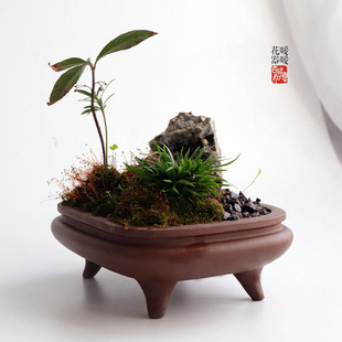 手工盆 束口长方圆角 高脚盆  精品紫砂花盆 小号 桌面盆景盆