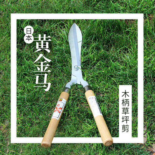 木柄草坪剪修篱剪绿篱剪篱笆剪大平剪粗枝剪园艺S剪刀工具修树修