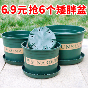 矮胖仑花盆多孔塑料加花盆特价清仓绿萝月季玫瑰多肉植物大口径盆