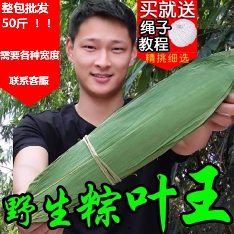大粽叶苗竹叶箬竹家用大号材料包装棉线线绳芦苇叶散装2021年叶子