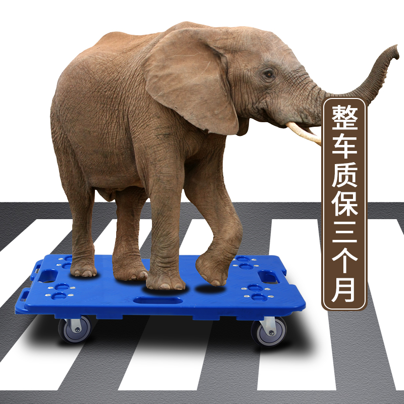 煜旗乌龟车万向轮平板车手推搬运车静音小推车拉货车承重强可拼接