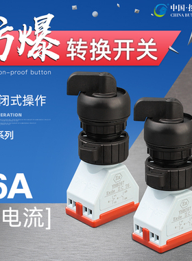 BA8097防爆转换开关 二档三档防爆按钮控制旋钮 非自复位开孔30MM