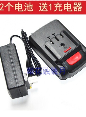 雷世20V21V28V锂电钻充电钻手电钻电动螺丝刀电起锂电池充电器