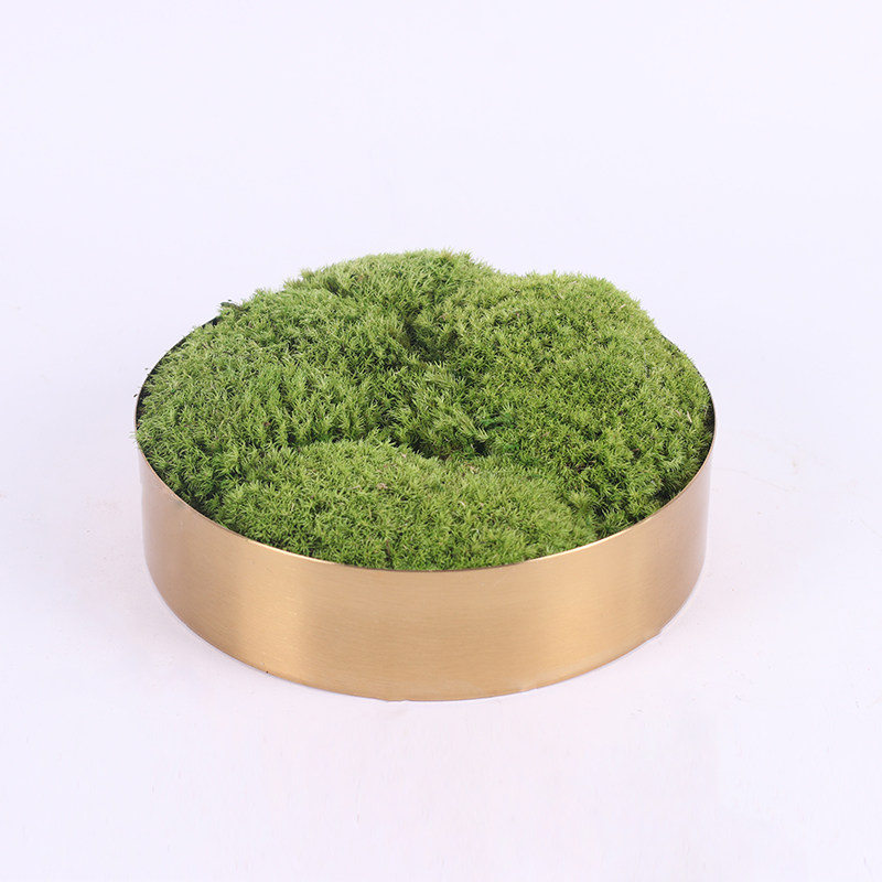 新中式金色仿真微观绿植苔藓盆景摆件售楼处洽谈桌茶几软装配饰品