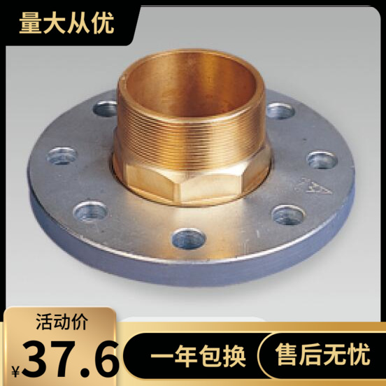 amico埃美柯LF-672外丝铜忖钢法兰DN15(内有各种规格)