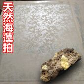 天然海藻棉拍海藻绵三色珠光漆硅藻泥艺术漆工具大全点彩印
