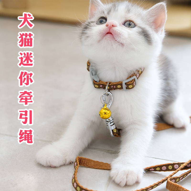 幼猫咪幼犬牵引绳套脖铃铛狗狗牵引绳小型玩具茶杯犬遛猫绳子
