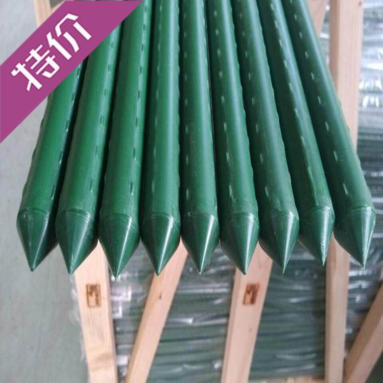 黄瓜番茄爬藤支架园艺包塑料管支撑杆支柱植物生长用套装西欧风情