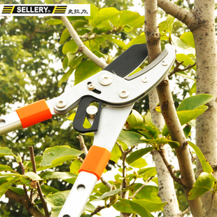 海蒂的花园 史拉力多品种园艺剪整篱剪园林N植物花卉修剪工具剪刀
