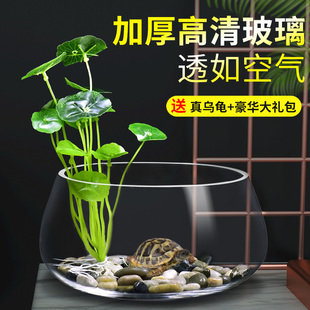 乌龟缸玻璃圆形办公桌绿萝水培家用小鱼创意透明小型迷你桌面龟缸