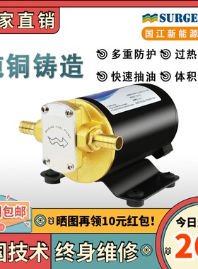 FP-12齿轮柴油泵纯铜24vy电动微小型自吸煤油泵车载正反转抽加油