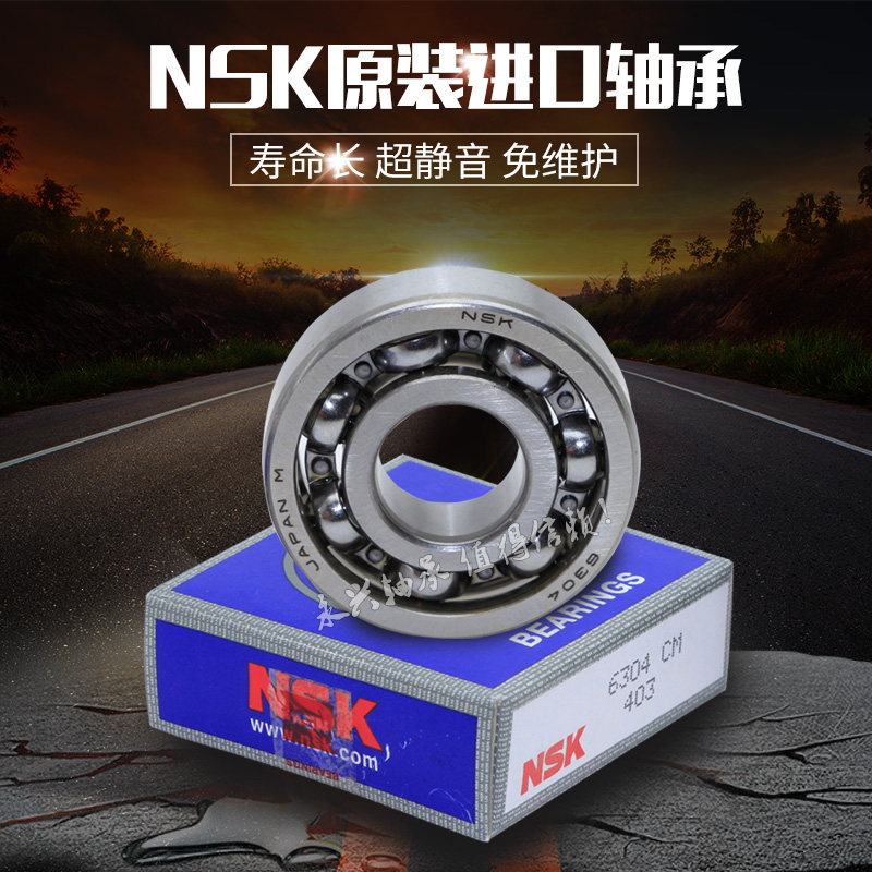 进口NSK耐高温轴承6300 6301 6302 6303 6304 6305 6306 6307ZZ