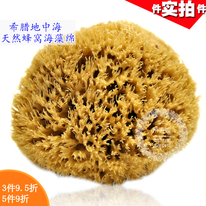 希腊天然海藻棉 自然原色蜂窝洗澡海绵5.5~6英寸地中海沐浴刷棉球