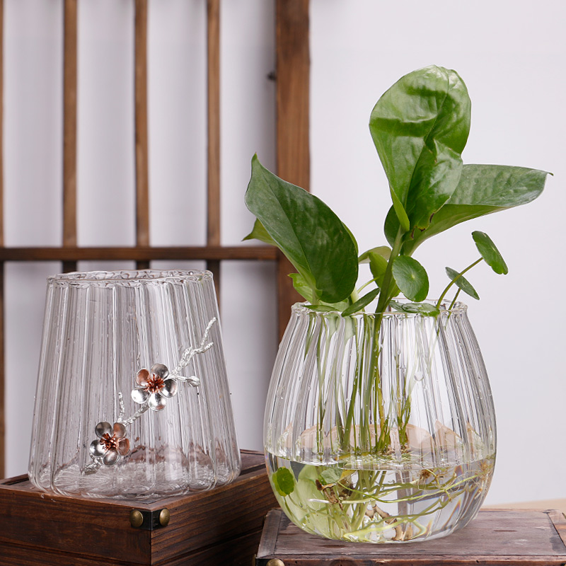 铜钱草水培植物玻璃花瓶透明器皿水养绿萝花盆容器插花器桌面创意