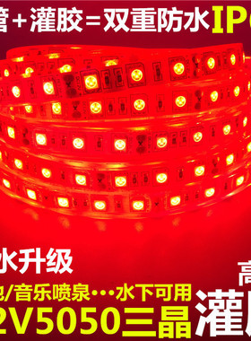 12V红色LED贴片红光套管灌胶防水红灯带水池水下防水软灯条5米价