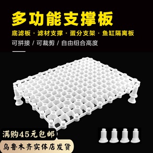 鱼缸底滤板底滤隔离板水族箱滤材垫板防死水鱼缸过滤网格乌龟晒台