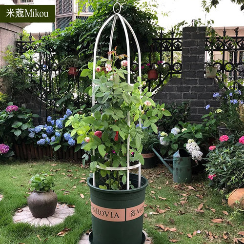 简易花架爬藤架铁线莲攀爬花架绿萝铁艺柱形花支架月Y季花欧月户