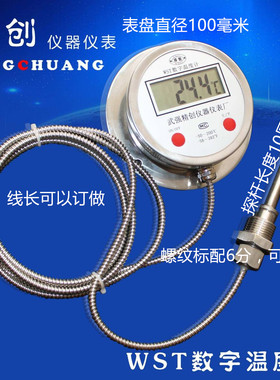 压力式全不锈钢304数显电子数字温度计WST-491测温仪温度表高精度