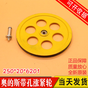 斯电梯涨紧轮 限速器底坑涨紧轮装 250 6201 置地绳轮 西子奥