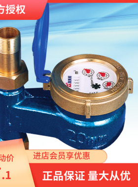 埃美柯LXSL-E旋翼立式湿式冷水表073铁壳DN15DN20DN254分6分1寸