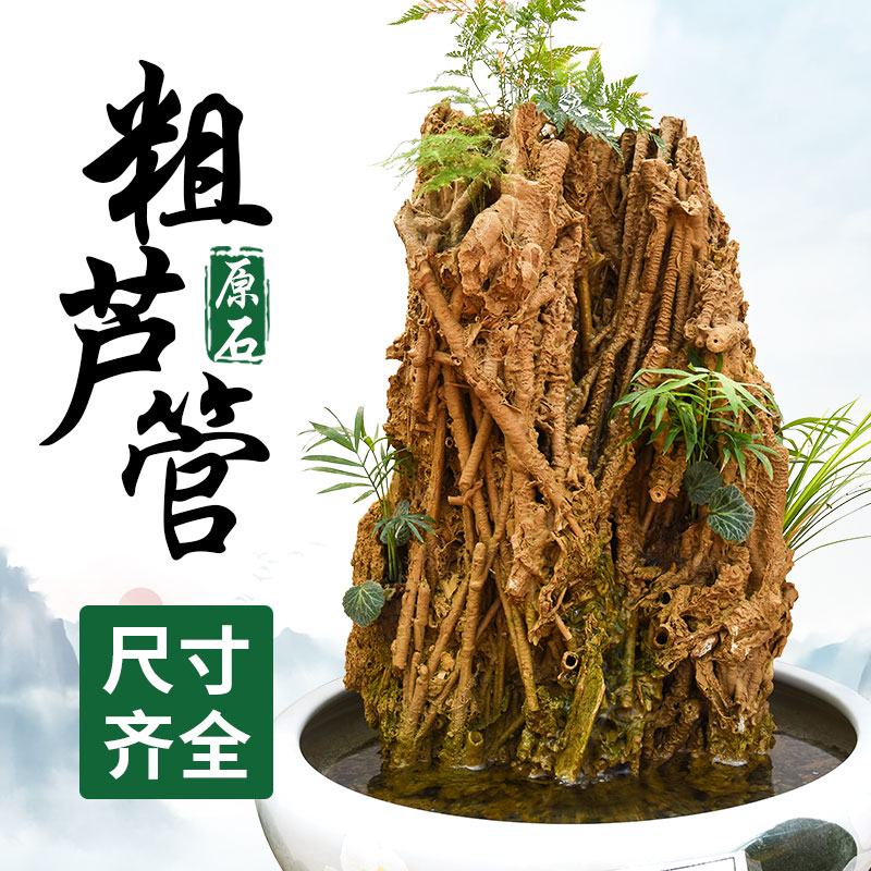 天然芦管石钟乳石吸水石原石上水石假山大型盆景摆件植物化石直播