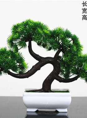 招财摆件家居摆设开业植物塑料旺财店铺风水小装饰品家居桌面创意