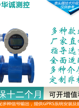 LDE一体式电磁流量计表污水流量计管道流量计防腐流量计高精度