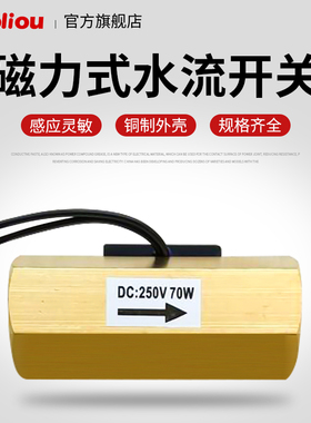 DN15水应开关DN20气流开关4分水流量传感器2 6分全铜水流开关