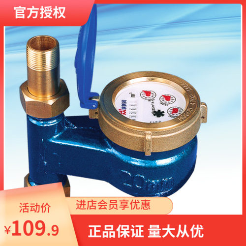 埃美柯旋翼立干式热水表 055 DN15-20 25