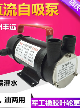 220V12V24V48V60V交直流自吸电瓶车家用农用小型抽吸水机自吸油泵