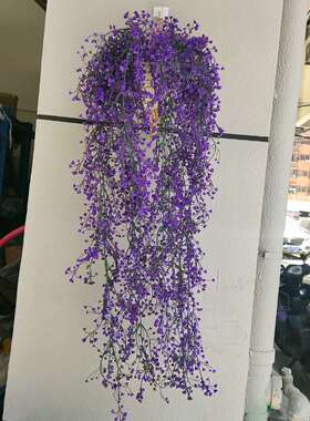 彷真金钟柳客厅墙面装饰室内绿植壁挂花藤垂吊S藤条植物假花藤蔓