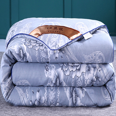 加厚保暖被子丝棉被芯冬被空调春秋冬季双人床冬天棉被褥子8/10斤