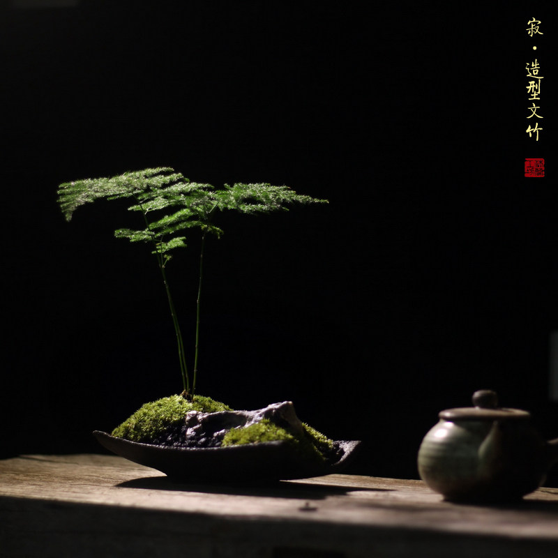 文竹苔藓粗陶中式日式枯山水假山微型茶桌面书房客厅盆栽盆景