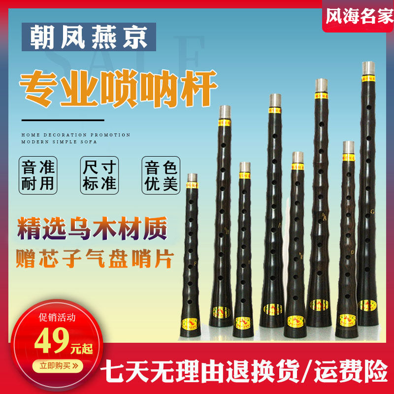唢呐乐器专业杆子演奏p级镜面堂红白喜事黑檀乌木降B/DC调大中小