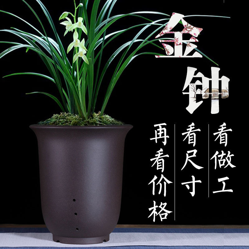 精品紫砂兰花盆金钟宜兴陶瓷盆特大号高圆古典桌地面花卉绿植盆