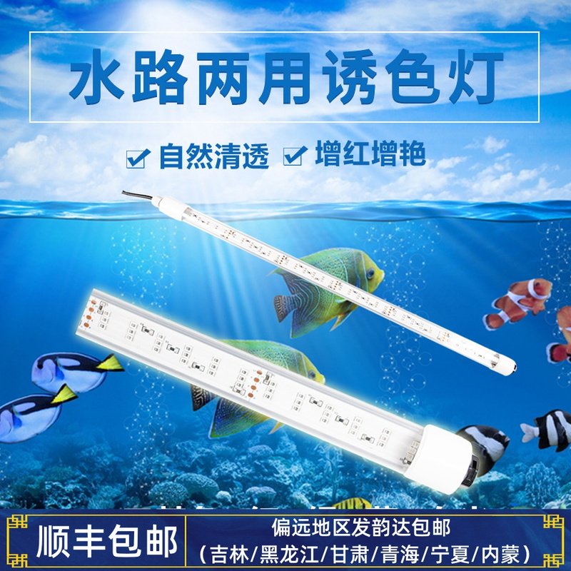 LED潜水24V安全电压大型T8三基色水族防水鱼缸造景水草灯水陆两用