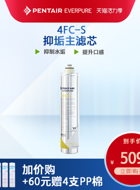 爱惠浦主滤芯净水机抑垢耗材矿物质直饮家用净水器配件4FC-S