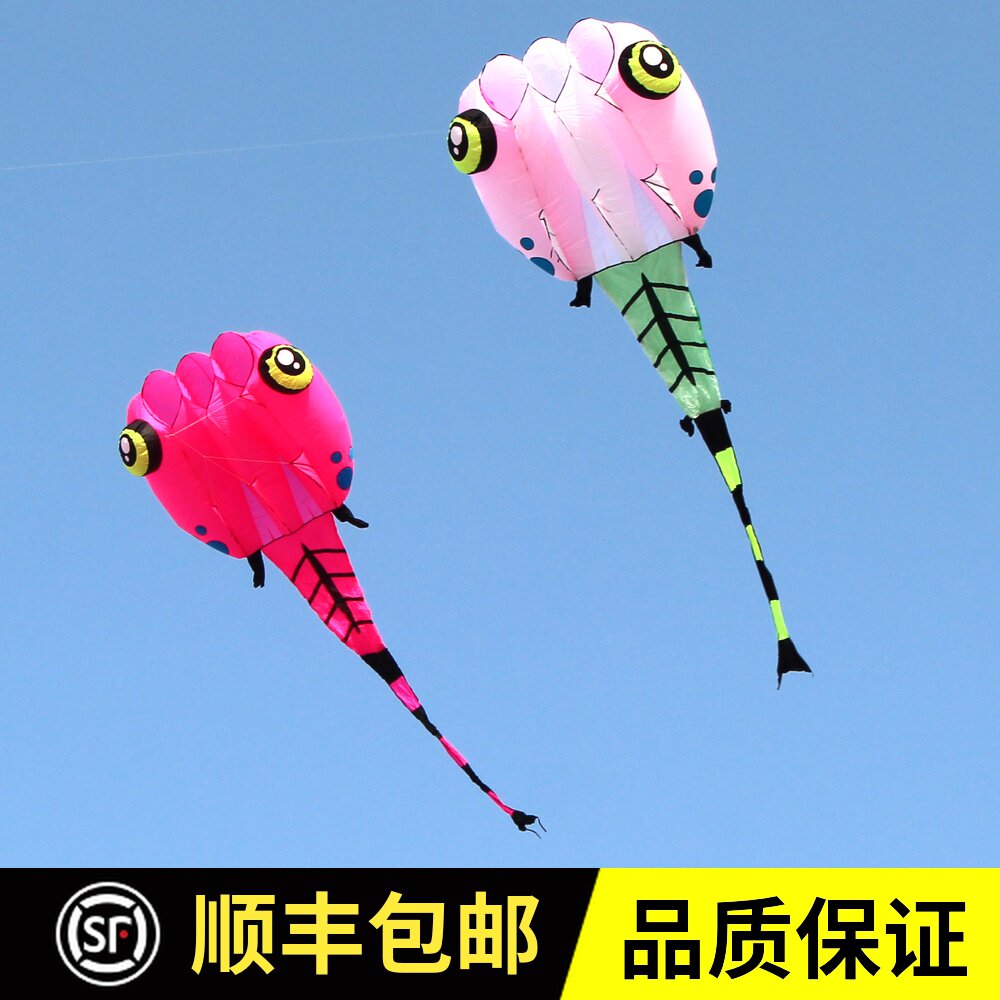 青州马老四风筝 高档伞布参赛级蝌蚪 好飞易飞特大软体立体大风筝