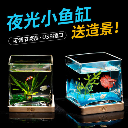 小夜灯方形玻璃鱼缸客厅小型办公桌面创意生态斗鱼缸迷你水族箱