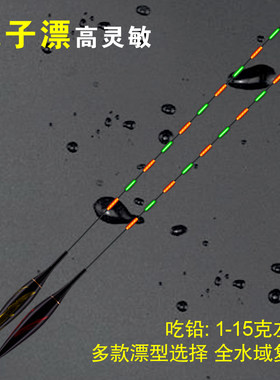 佛手夜光漂电子票黑坑滑口鲫鲤鱼漂近视高灵敏超亮青草鱼纳米浮标