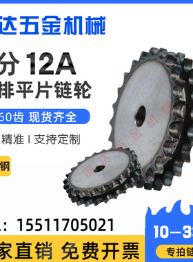 6分12A双排平片链轮/配12A-2双排链条/10-33齿/标准6分平双排链轮