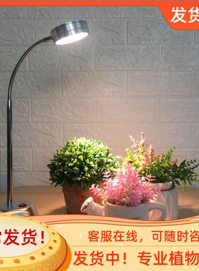 全光谱植物生长补光台灯发财树茎叶多肉植物花卉水草补光灯台灯