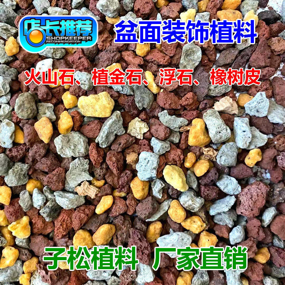 子松兰花植料 盆面装饰植料 兰花专用营养土蝴蝶君子兰花菖蒲包邮
