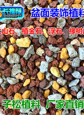子松兰花植料 盆面装饰植料 兰花专用营养土蝴蝶君子兰花菖蒲包邮
