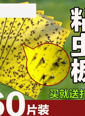 批捕纸板蔬菜大棚飞虱白粉虱粘虫板果园药笼果蔬黄色板防虫贴药贴
