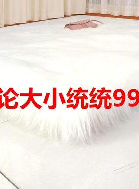 白色长毛绒地毯卧室客厅床边房间满铺可爱仿羊毛飘窗地垫橱窗装饰
