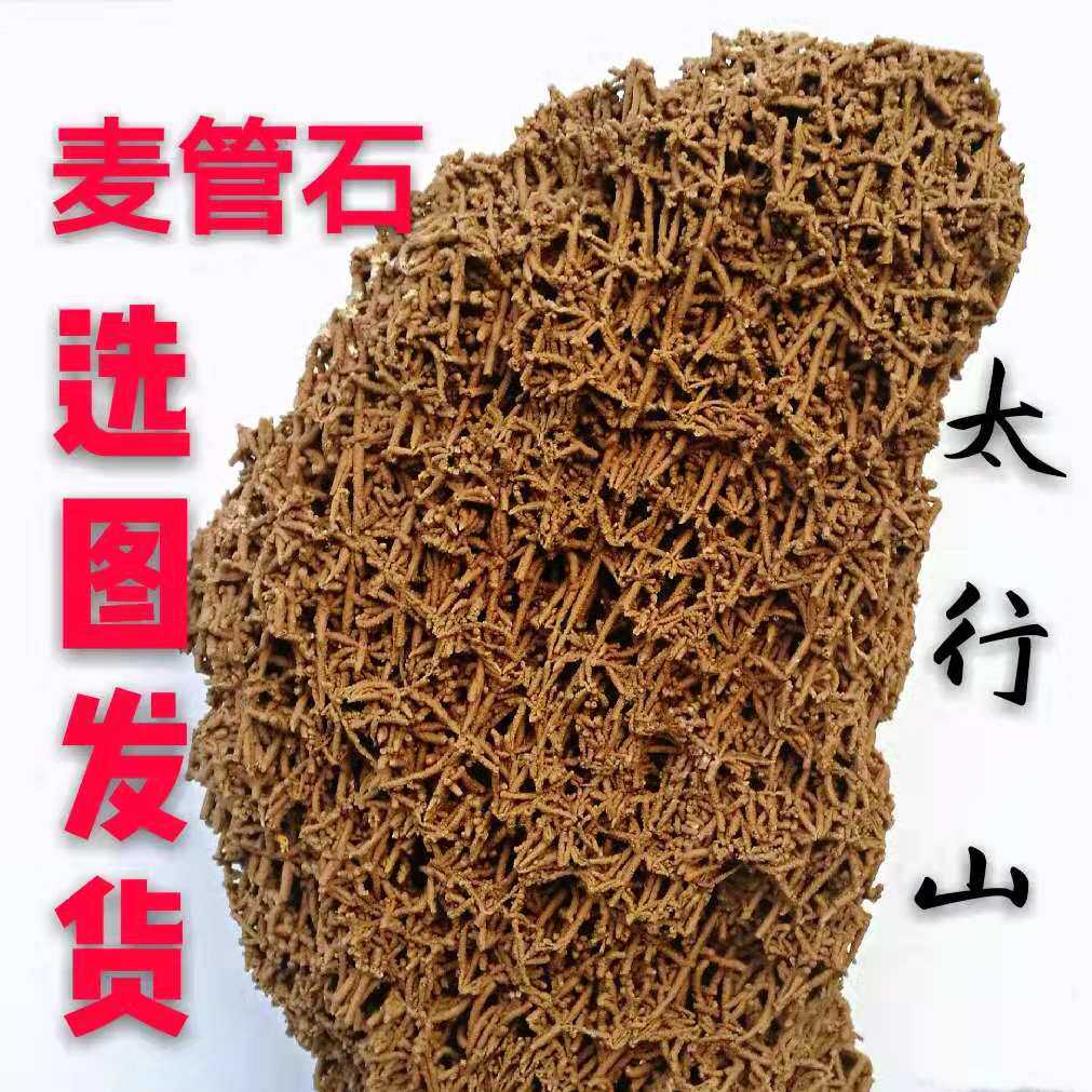 天然麦管石原石吸水石上水石假山盆景奇石化石头钟乳石河滩水秀石