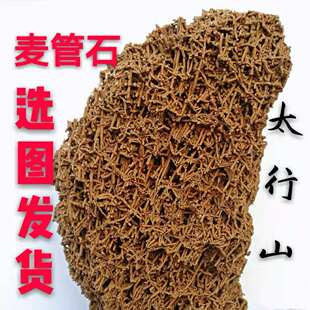 天然麦管石原石吸水石上水石假山盆景奇石化石头钟乳石河滩水秀石