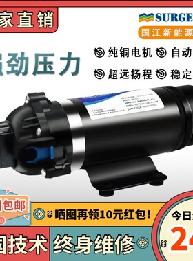 DP-160S超高压力自吸泵110v 220v加压喷雾机器纯净水设备增压水泵