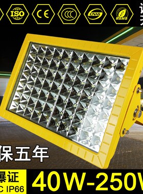 led加油站防爆灯投光灯50W100W150W200W仓库厂房泛光灯隔爆型路灯